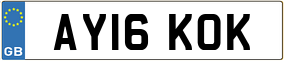 Truck License Plate